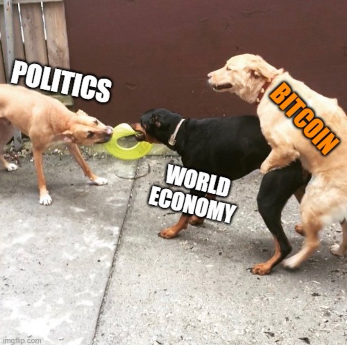 bitcoinworld-economypoliticsdogshumping