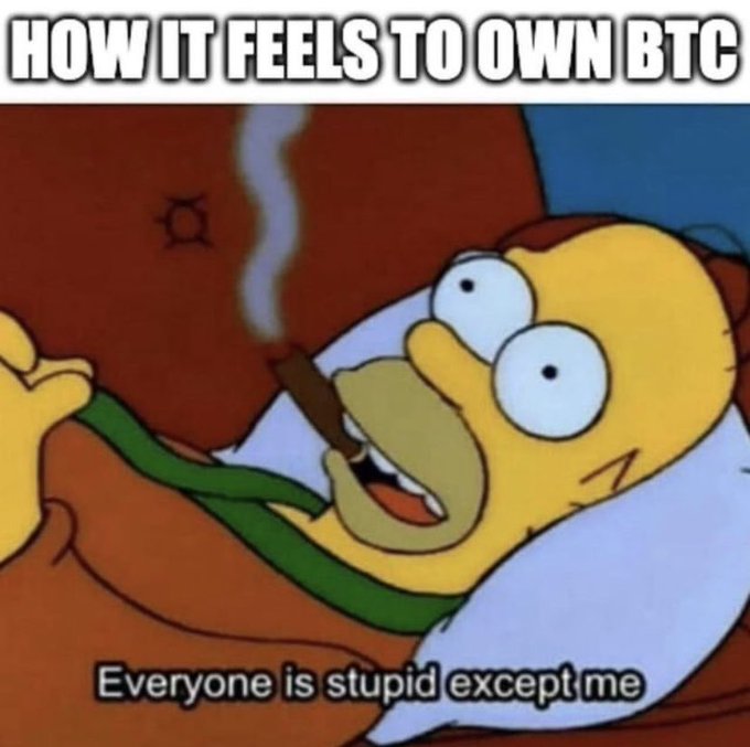 simpsonscigarhow-it-feels-to-own-btc